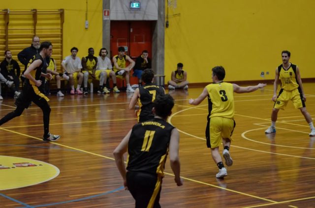 serie-d-basket-vignola